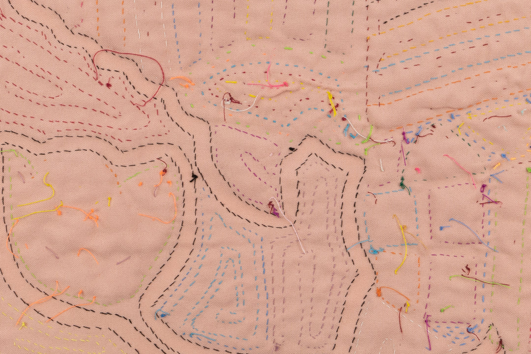 Rainbow Feather Bird Mola