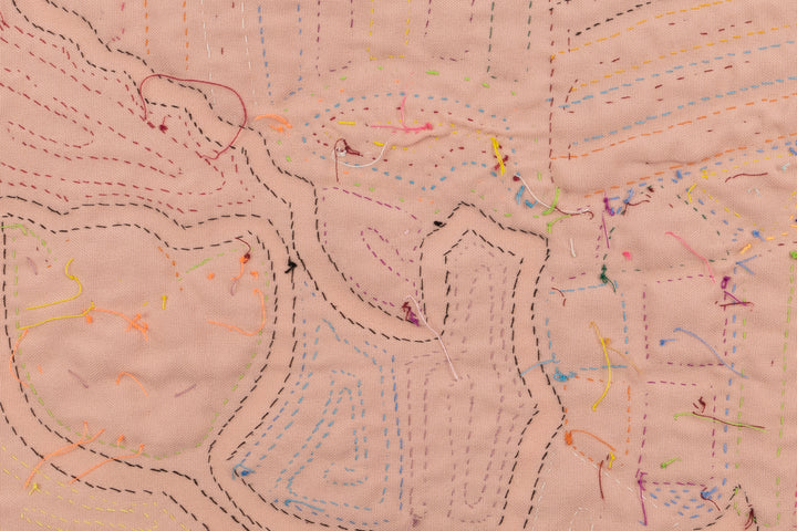 Rainbow Feather Bird Mola