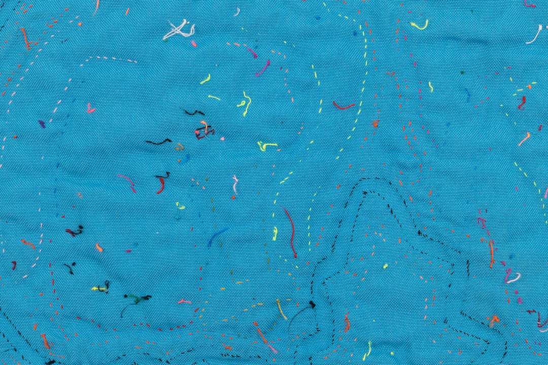 Weird Wing Butterfly Mola