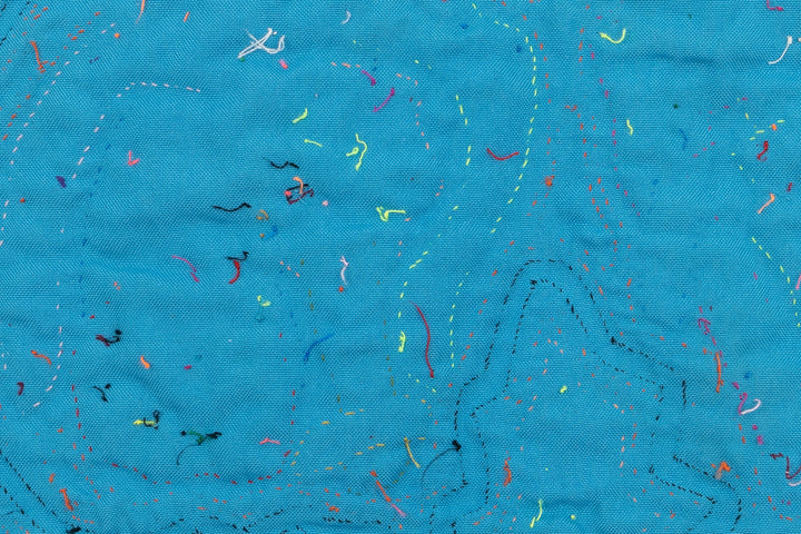 Weird Wing Butterfly Mola