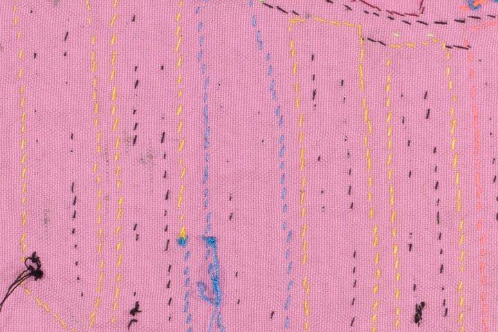 Big Tail Toucan Parrot Mola