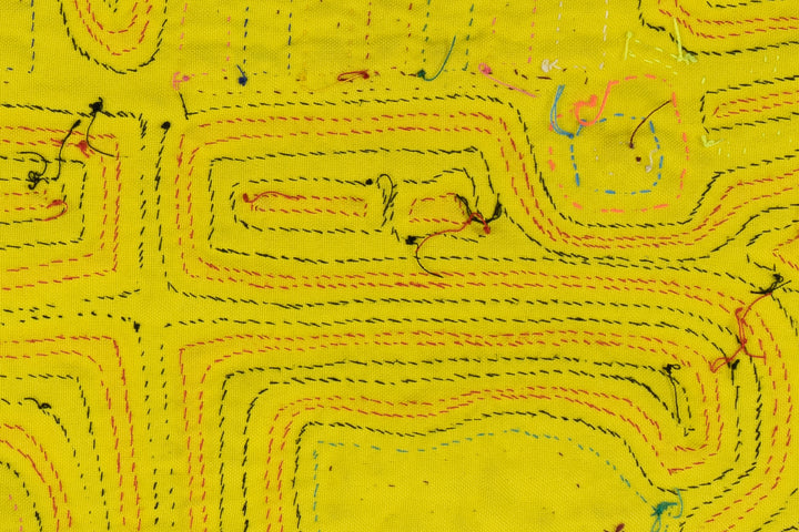 Puppy Dog Beagle Mola