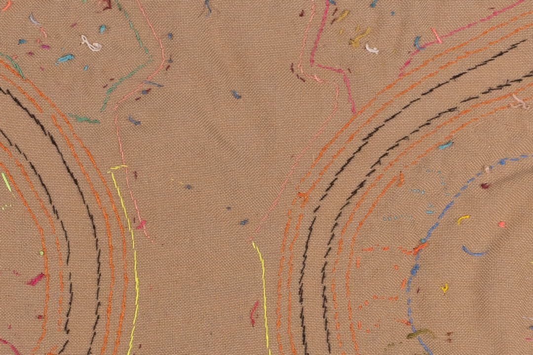 Kingfisher Bird Couple with Fish Mola