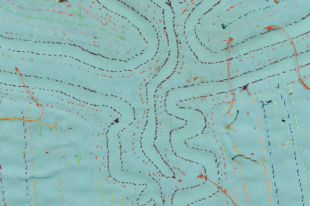 Long Neck Goose Panama Mola