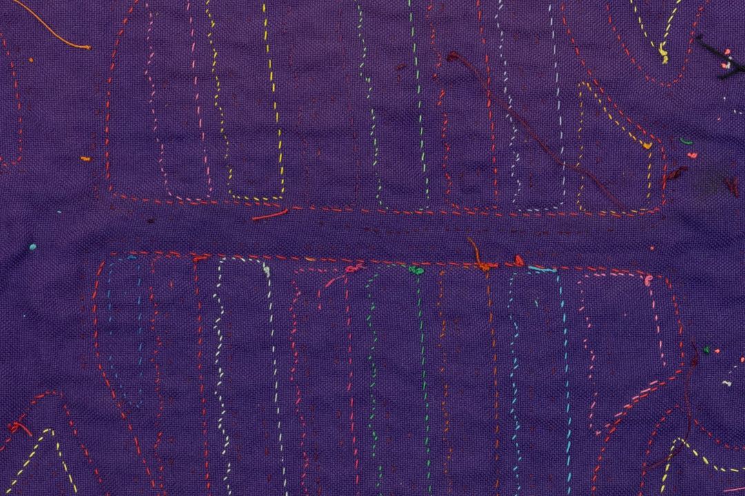 Creepy Critter Panama Mola