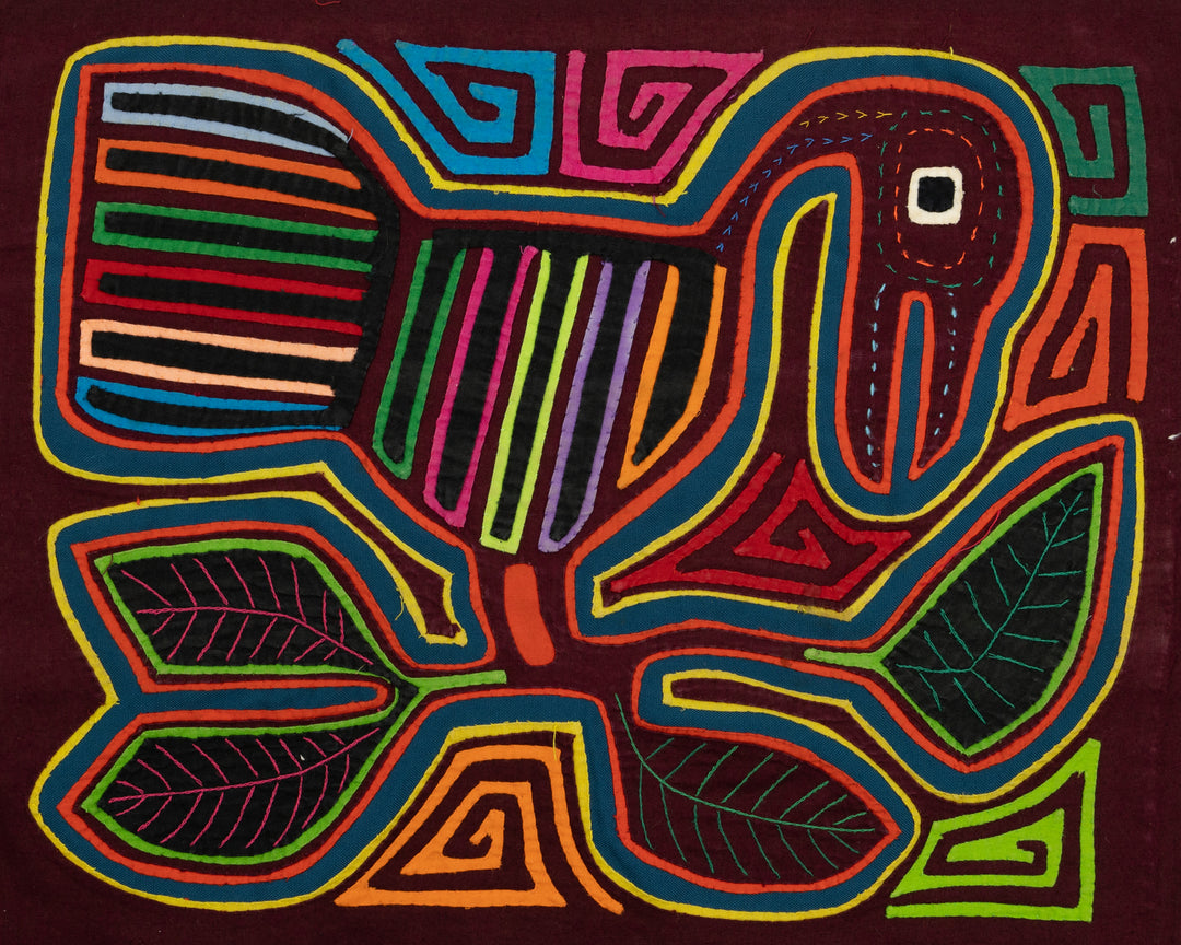 Long Neck Goose Mola