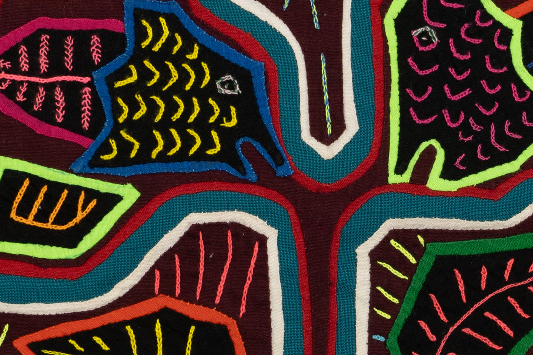 Aquarium Fish Panama Mola