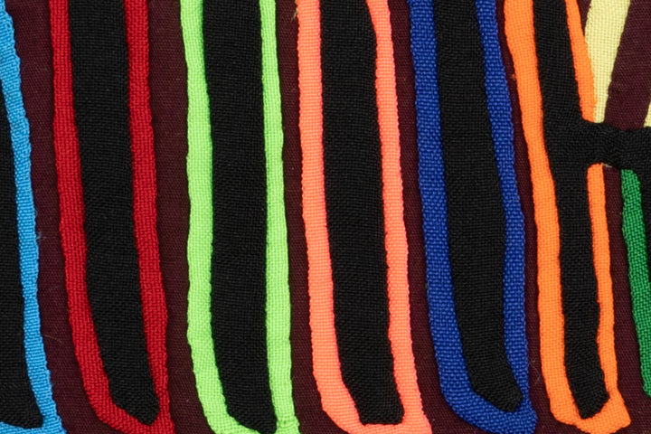 Bug Catcher Bird Mola