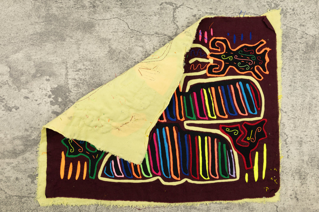 Bug Catcher Bird Mola