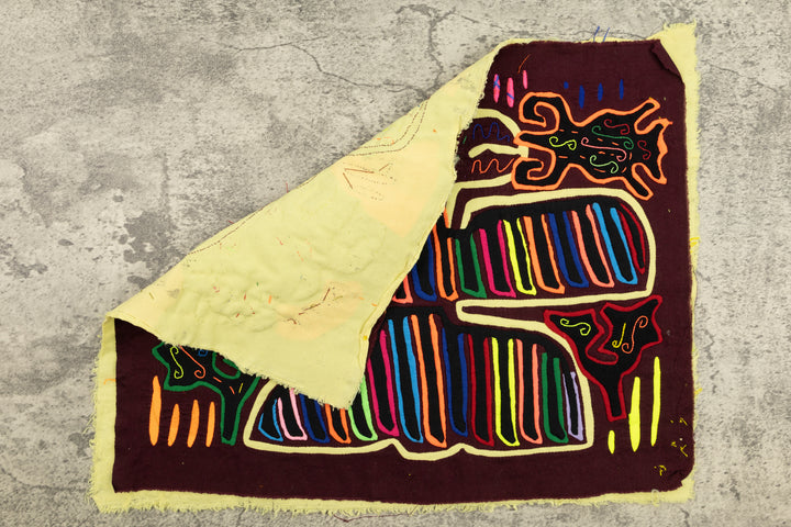 Bug Catcher Bird Mola