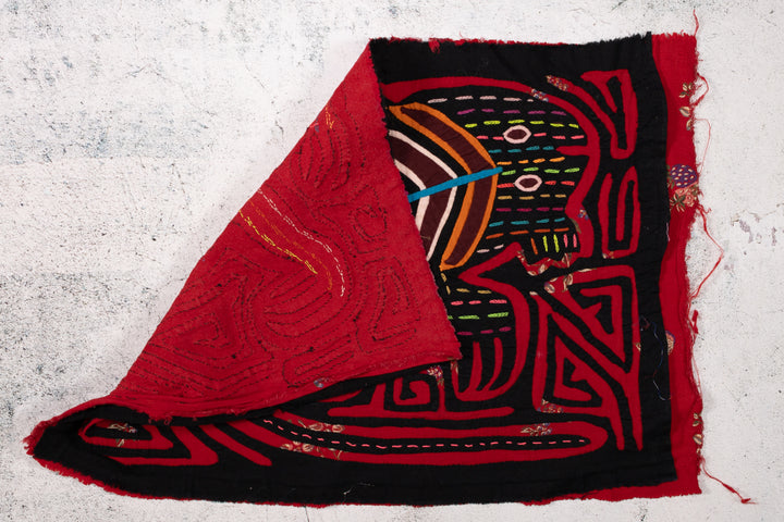 Red Black Weird Iguana Lizard Reptile Mola