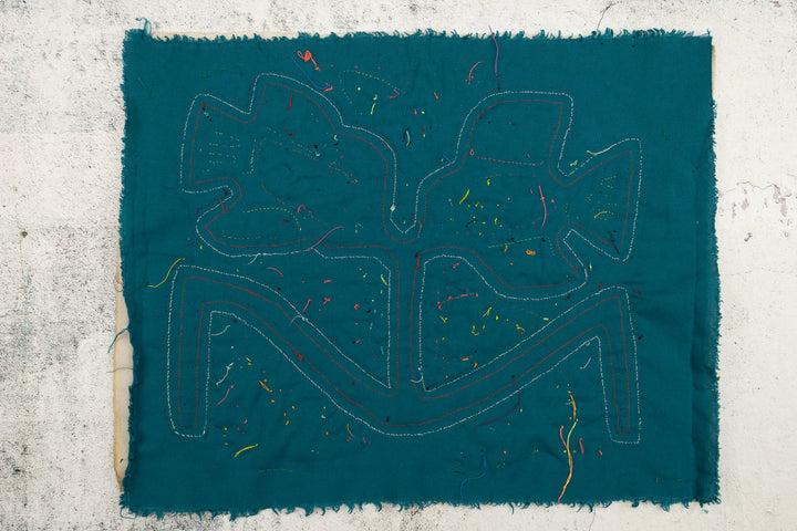 Aquarium Fish Panama Mola