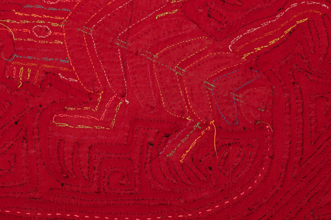 Red Black Weird Iguana Lizard Reptile Mola