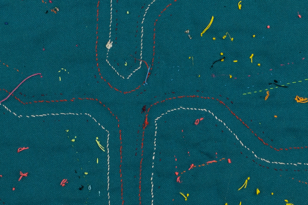 Aquarium Fish Panama Mola