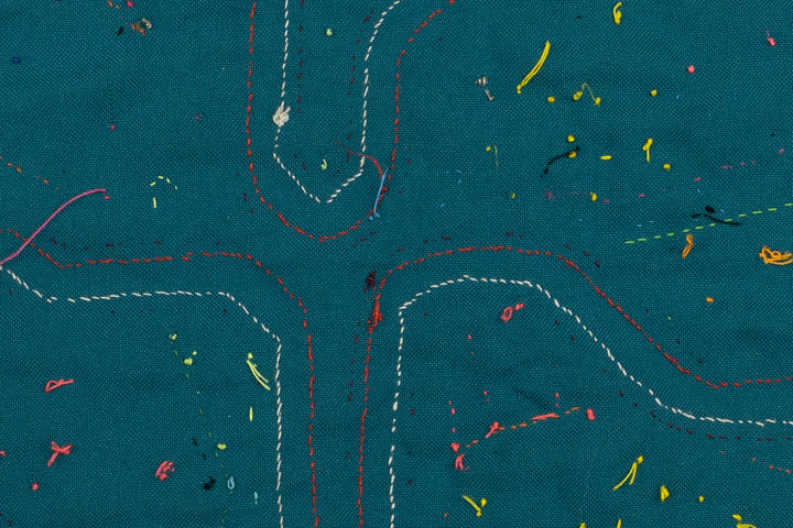 Aquarium Fish Panama Mola