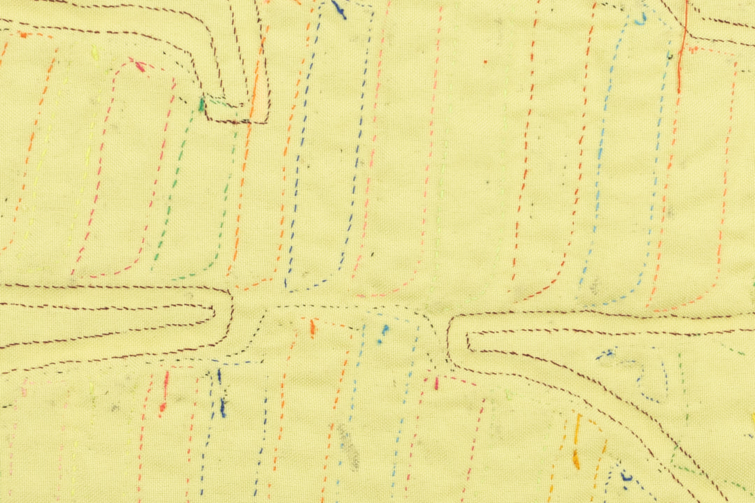 Bug Catcher Bird Mola