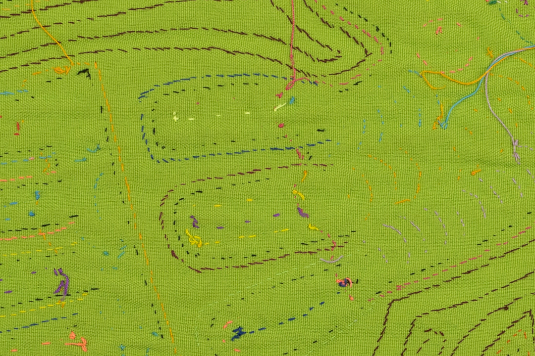 Toucan Parrot Bird Mola