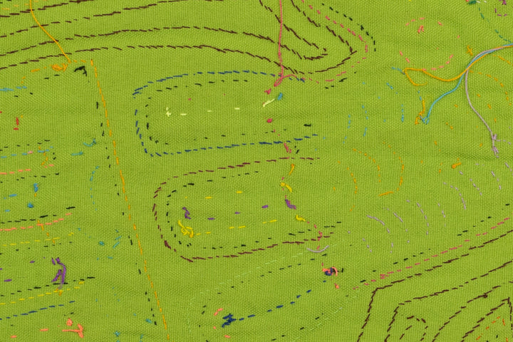 Toucan Parrot Bird Mola