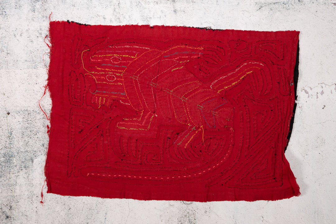 Red Black Weird Iguana Lizard Reptile Mola