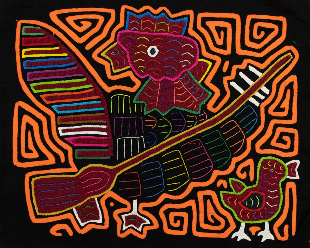 Banjo Birdie  Panama Mola