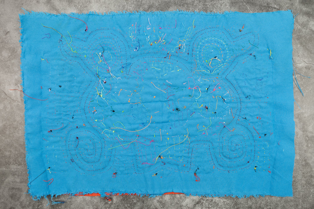 Siamese Twin Duck Mola