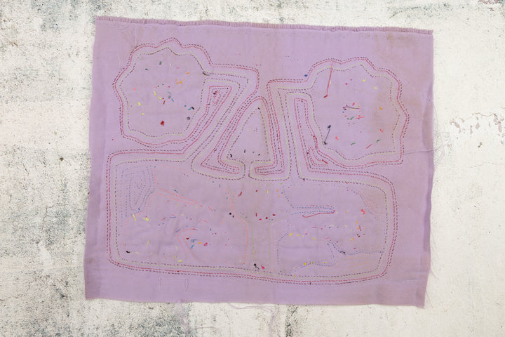 Aquarium Fish Panama Mola