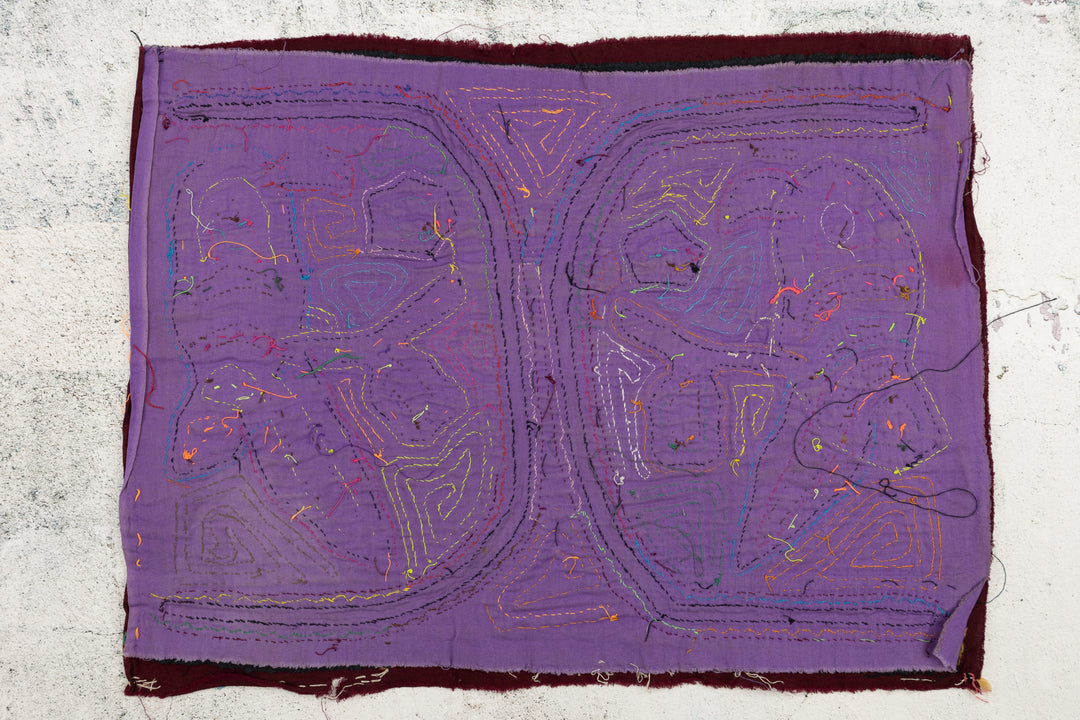 Vintage Parrot Bird Mola