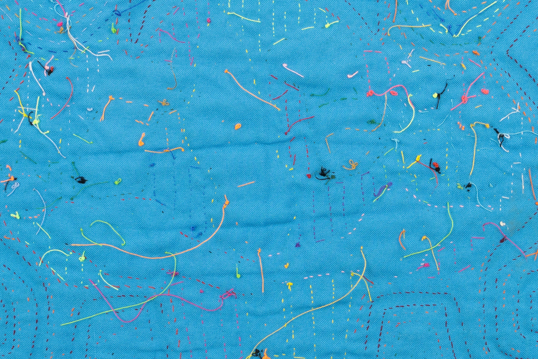 Siamese Twin Duck Mola