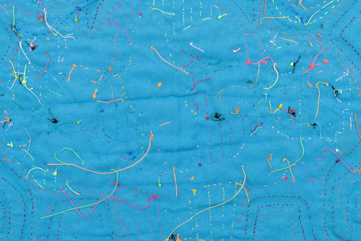 Siamese Twin Duck Mola