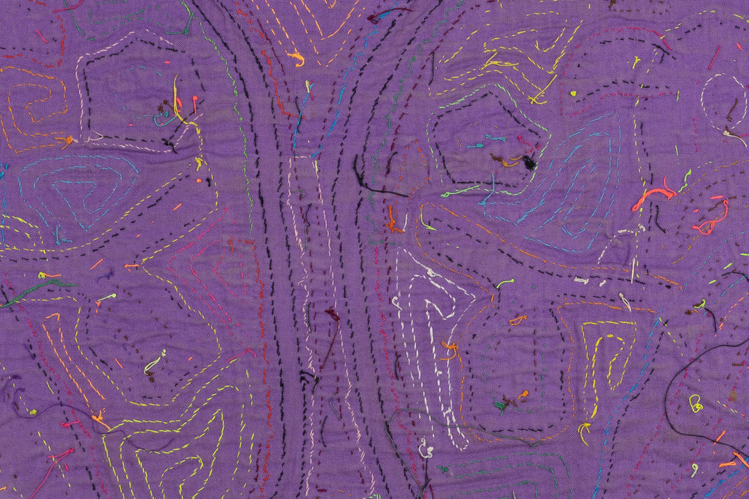 Vintage Parrot Bird Mola