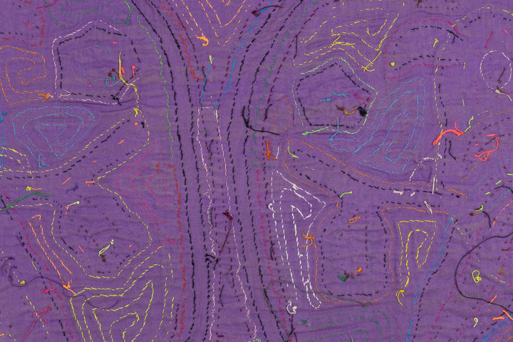 Vintage Parrot Bird Mola