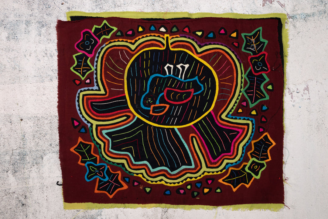 Cosmic Black Hole Parrot Bird Mola