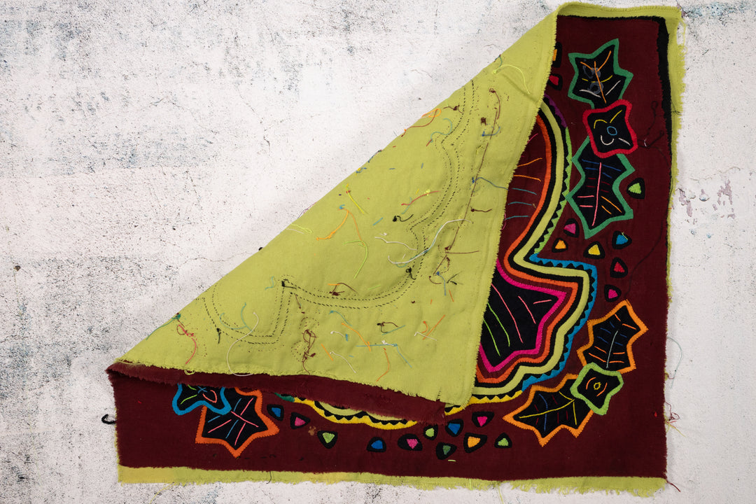 Cosmic Black Hole Parrot Bird Mola