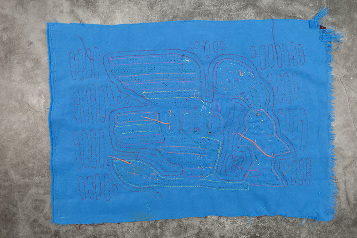 Osprey Fish Snatcher Mola