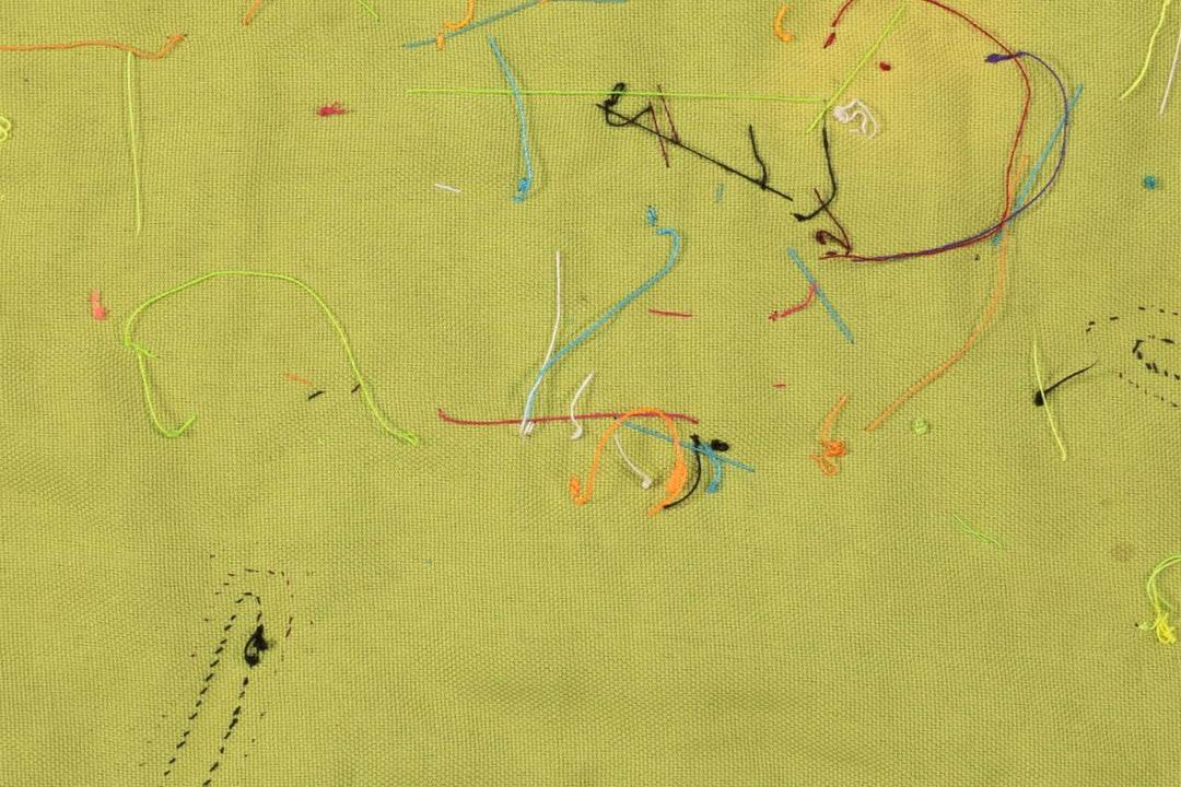 Cosmic Black Hole Parrot Bird Mola