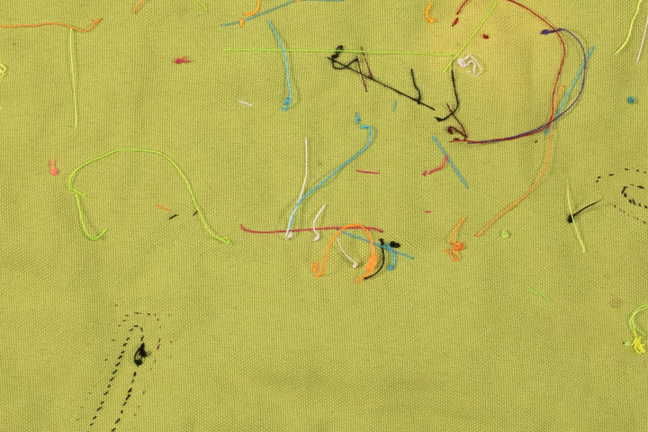 Cosmic Black Hole Parrot Bird Mola