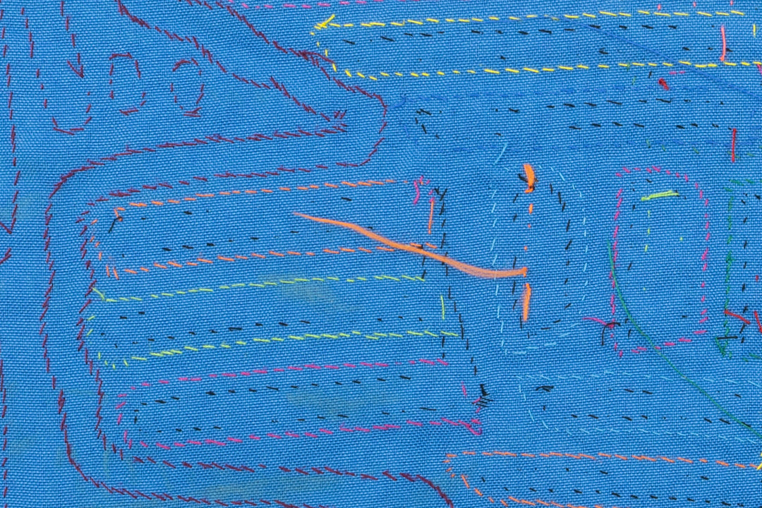 Osprey Fish Snatcher Mola