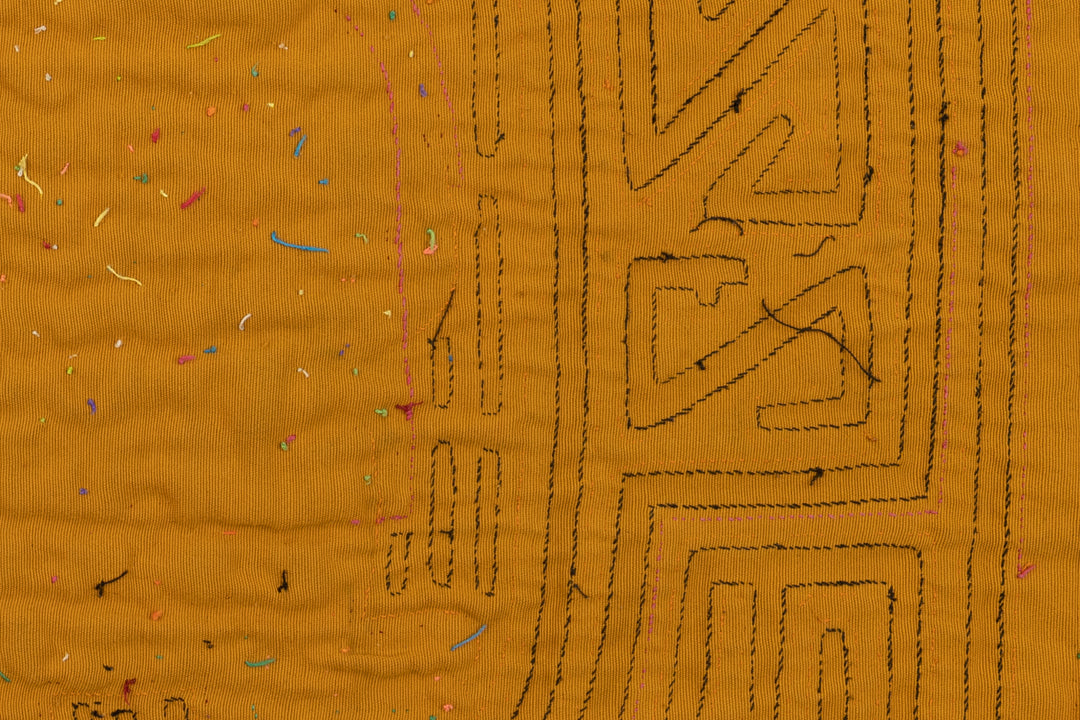 Orange Peter Rabbit Panama Mola