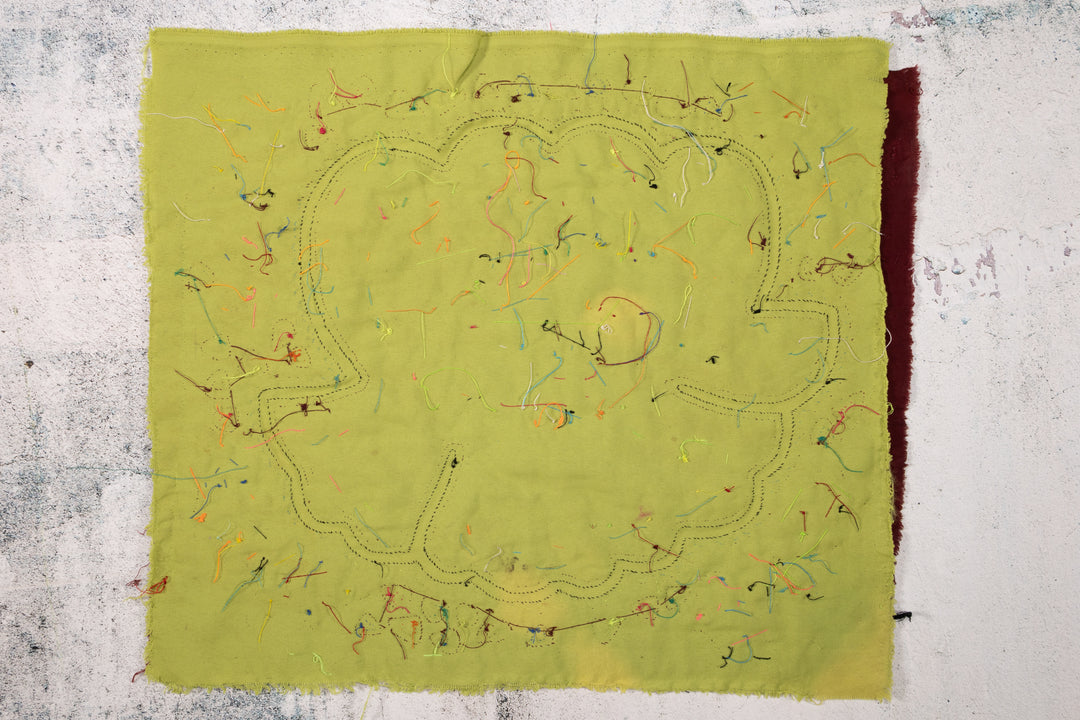 Cosmic Black Hole Parrot Bird Mola