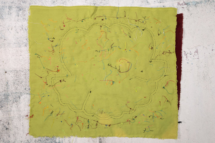 Cosmic Black Hole Parrot Bird Mola