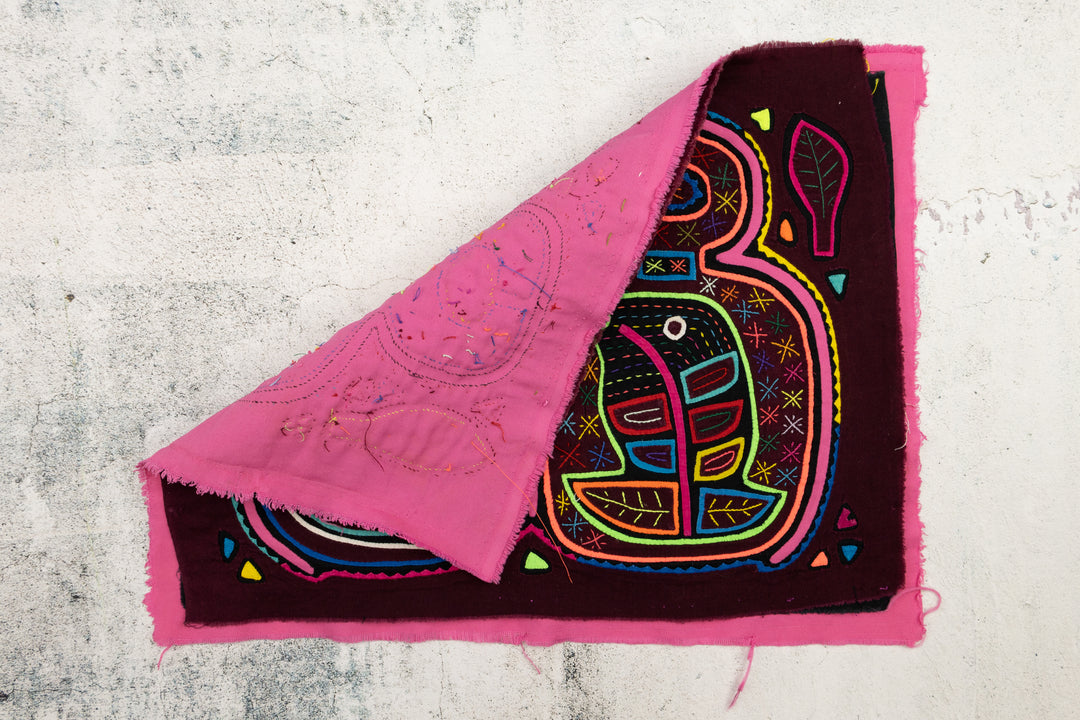 Cheviche Fermentation Panama Mola