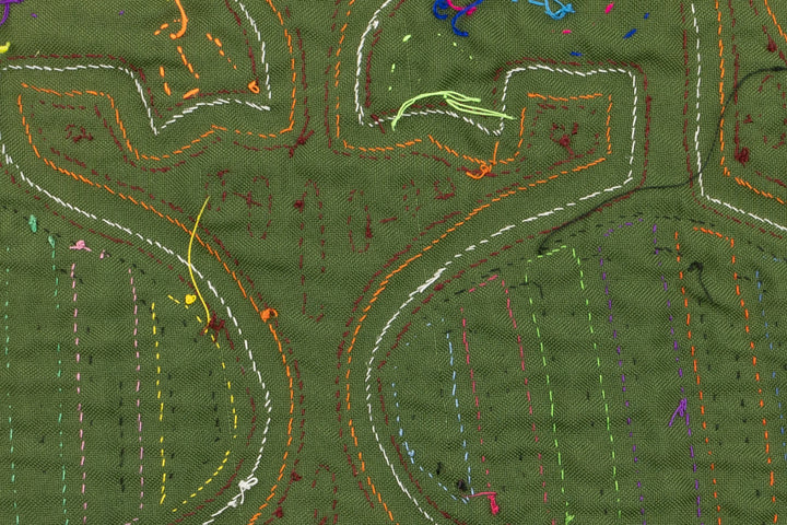 Feather Tail Bird Mola