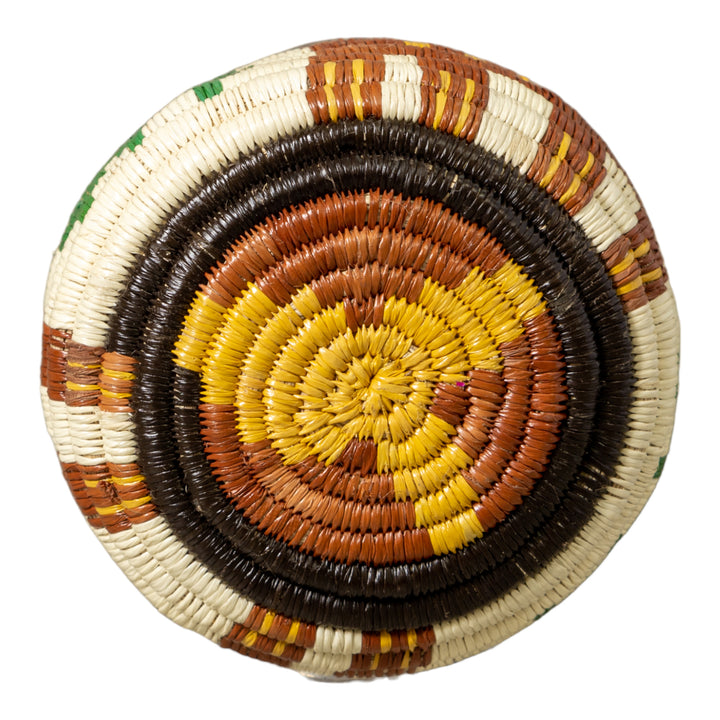 Small Jungle Critter Rainforest Basket