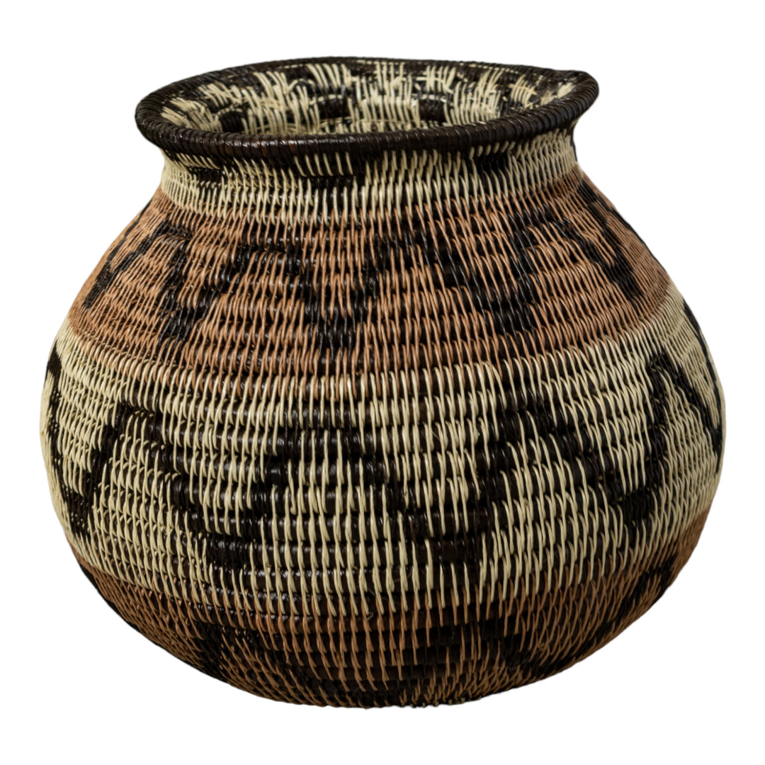 Black Volts of Lightning Rainforest Basket