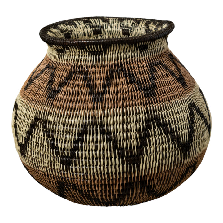 Black Volts of Lightning Rainforest Basket