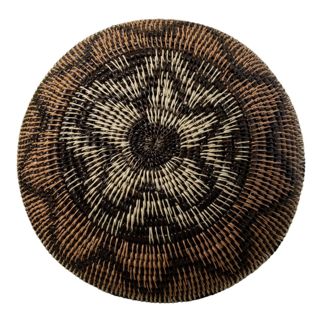 Black Volts of Lightning Rainforest Basket