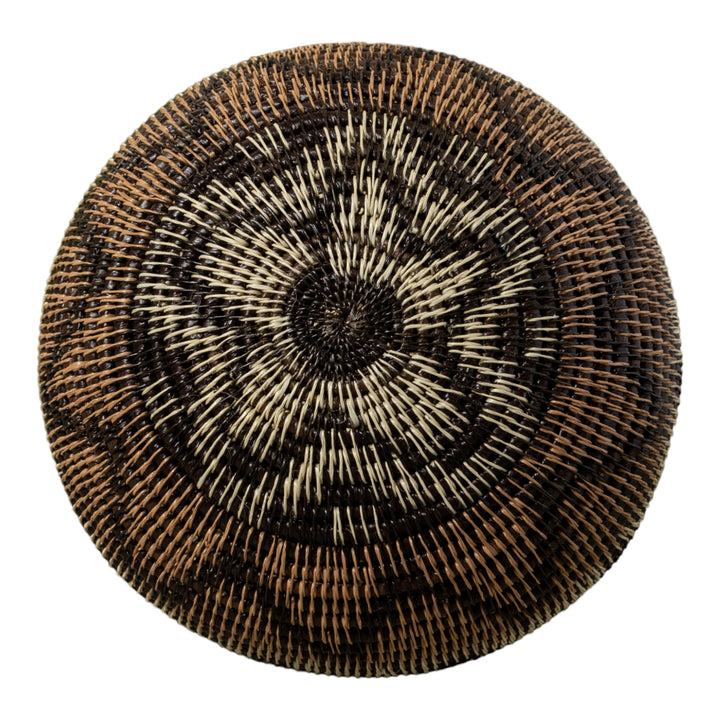 Black Volts of Lightning Rainforest Basket