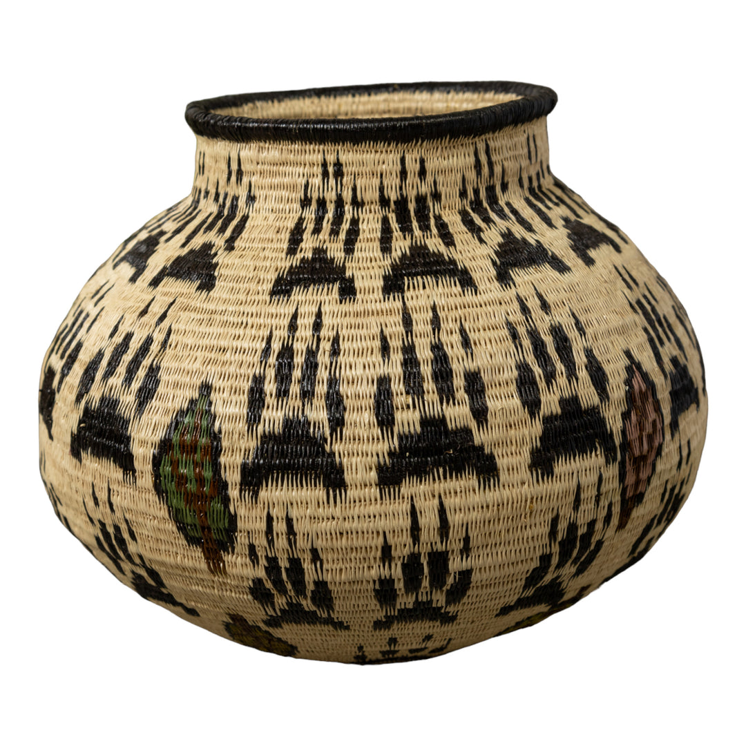 Cat Claws Rainforest Basket