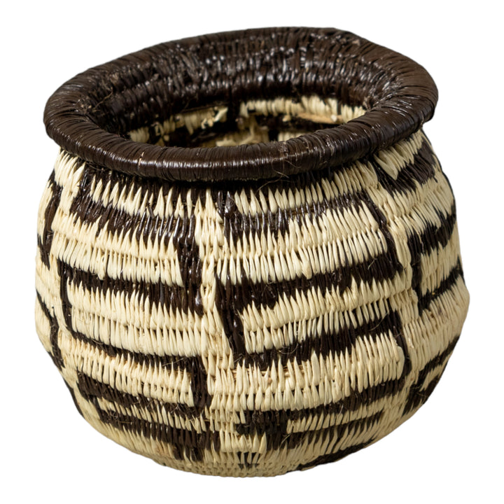 Black And White Turtle Shock Rainforest Basket