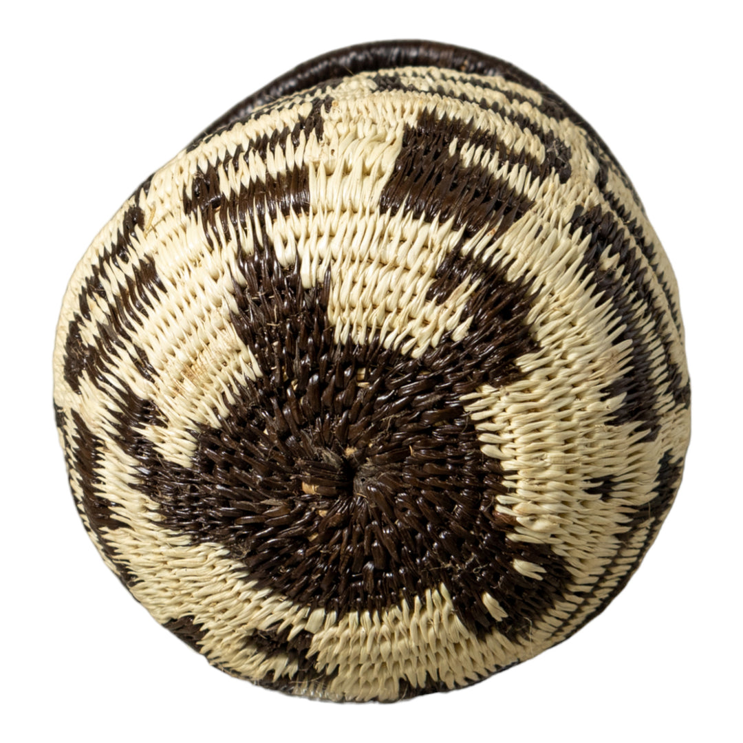 Black And White Turtle Shock Rainforest Basket